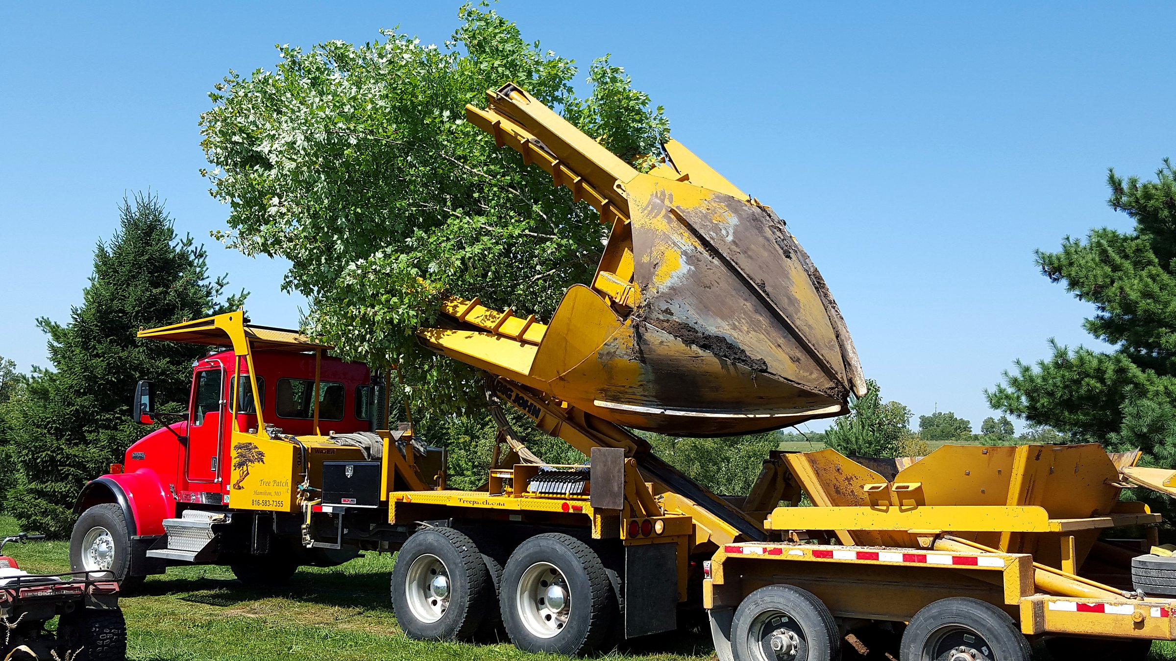 Tree Patch 90-inch spade transferring a tree into a 90-inch pod trailer