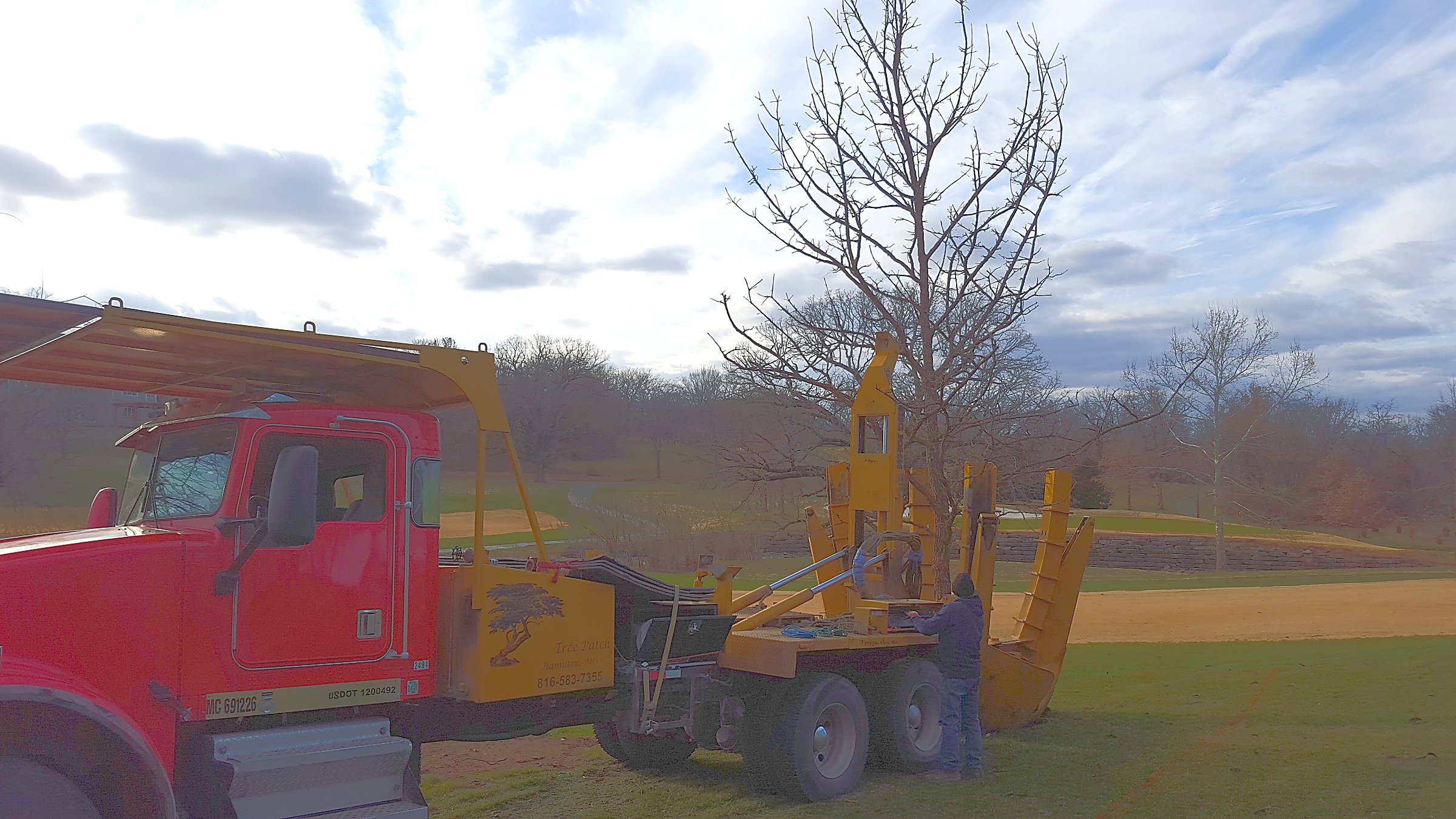 Tree Patch spade truck installing a large Burr oak on a golf course