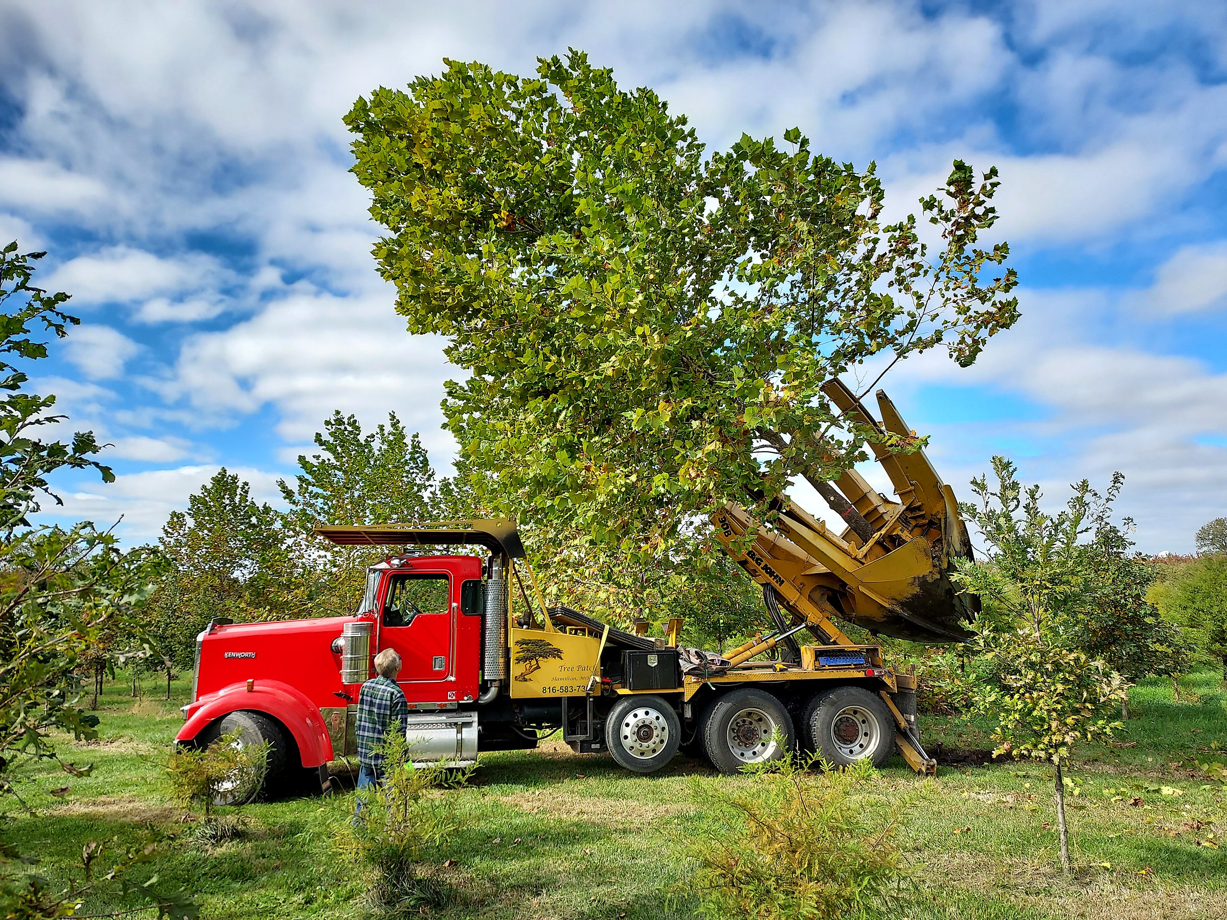 Tree Patch Kenworth digging a mature sycamore with a 90-inch spade